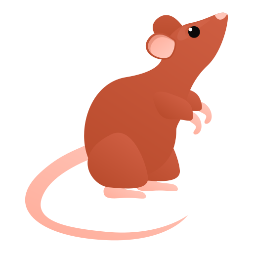 Rat & Rodent Control