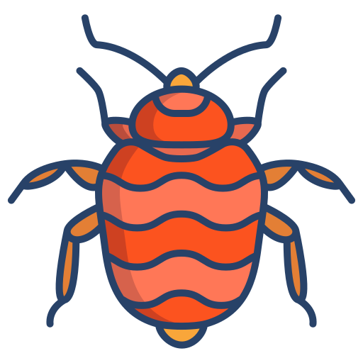bed-bug COntrol